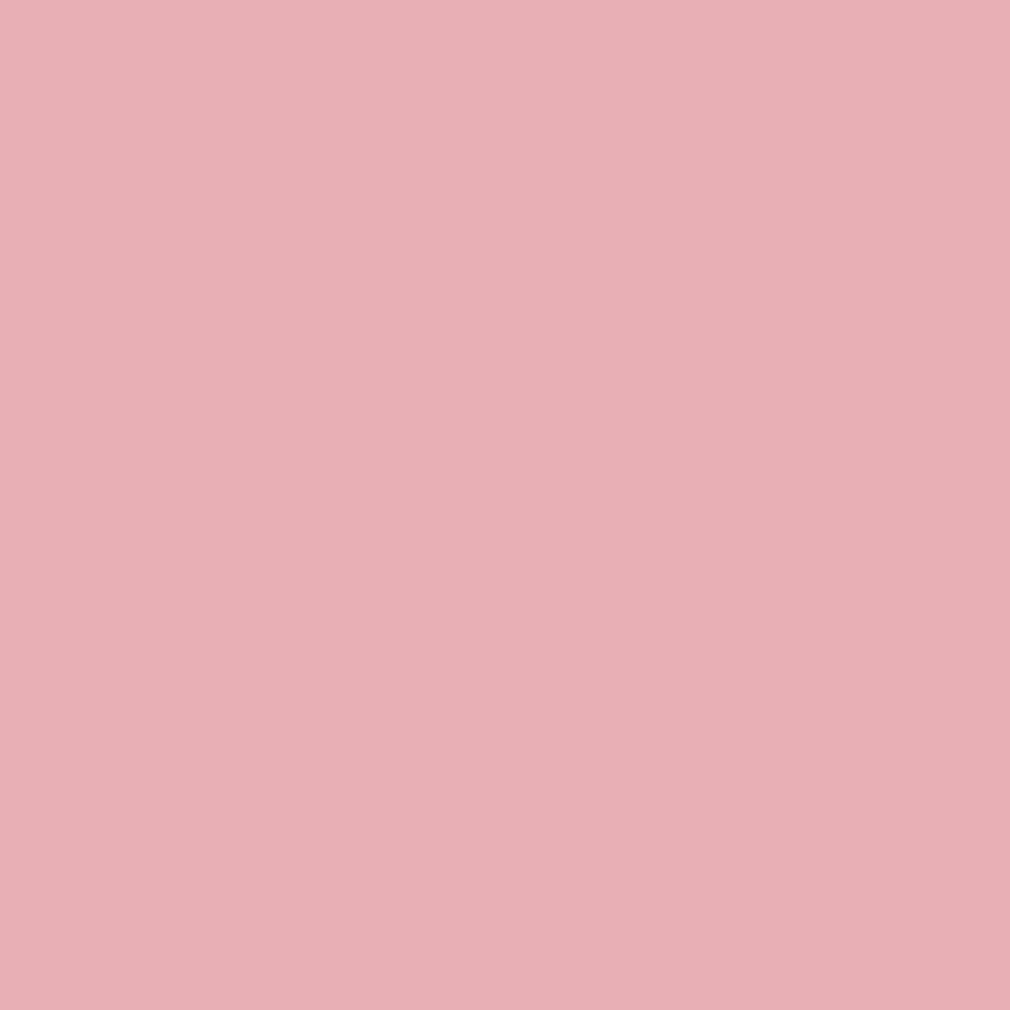 SOLID BASICS (couleur unie) : (10 couleurs disponibles)