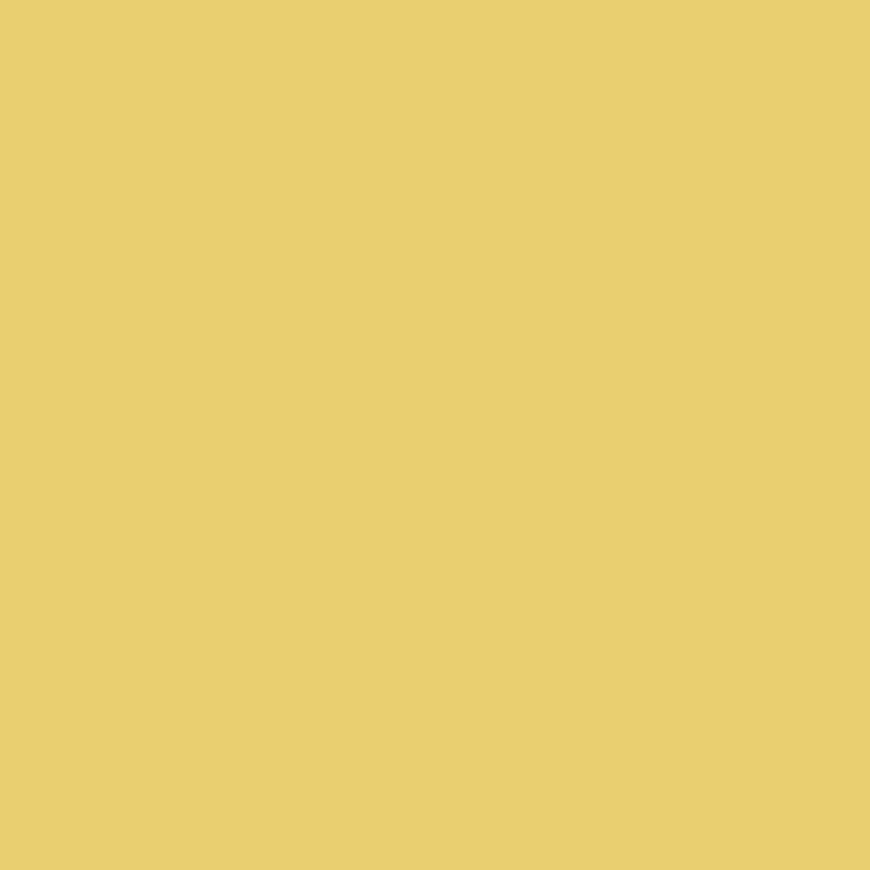 SOLID BASICS (solid color): (6 colors available)