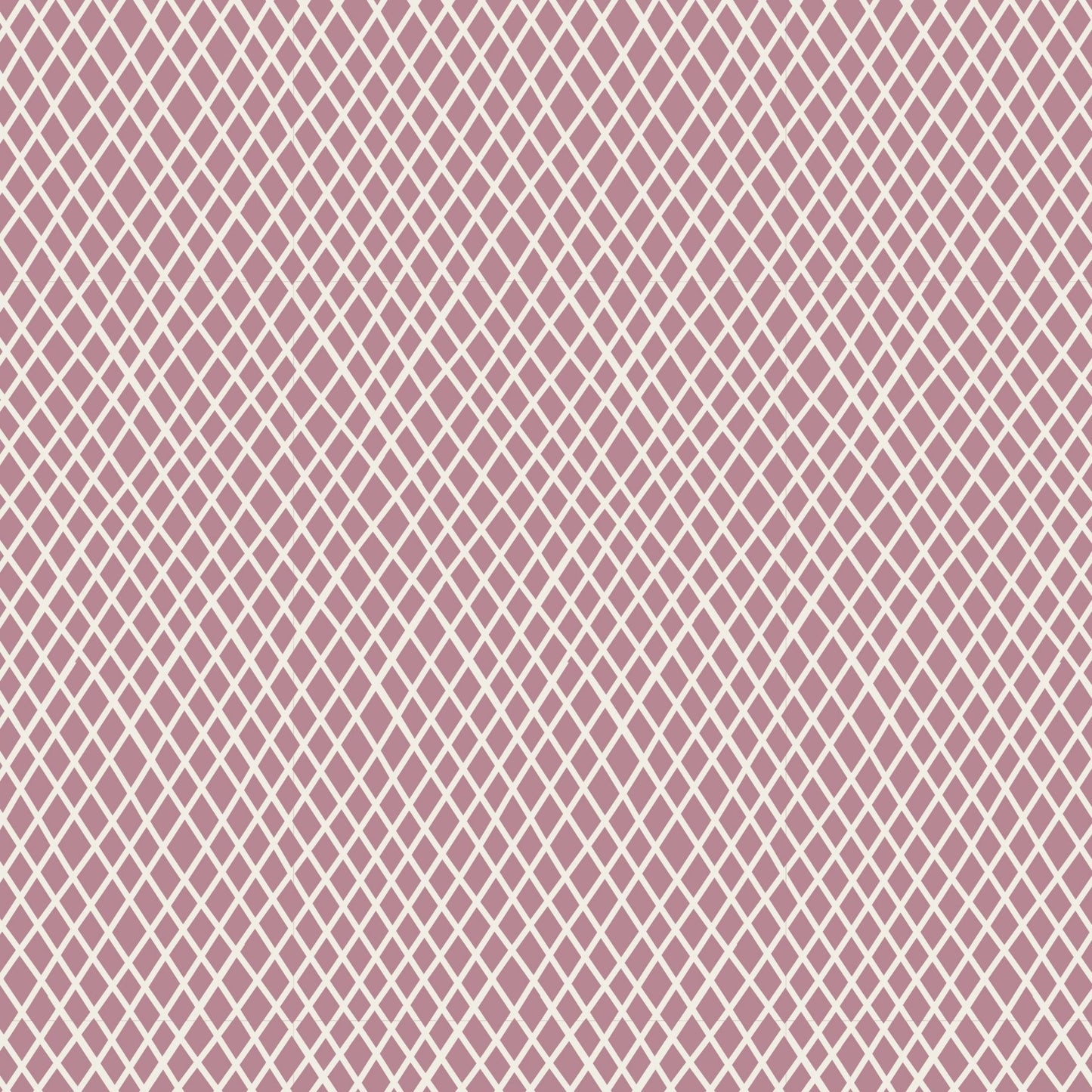 CLASSIC BASICS : Crisscross (3色展開)