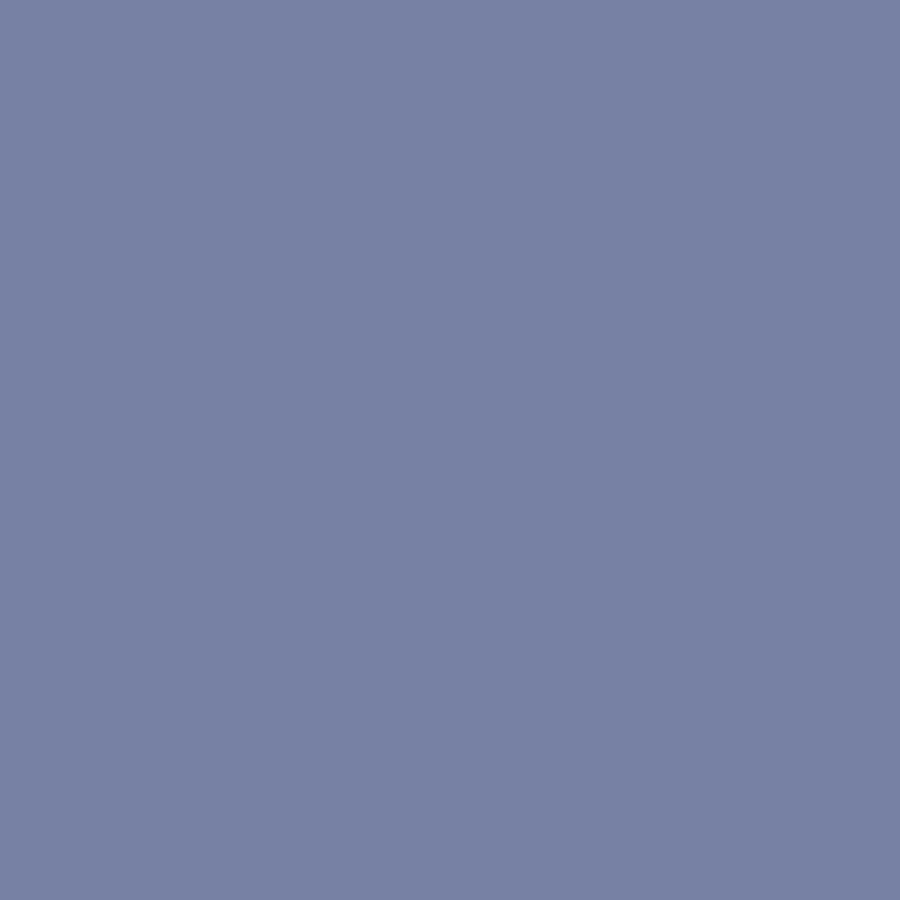 SOLID BASICS (couleur unie) : (10 couleurs disponibles)