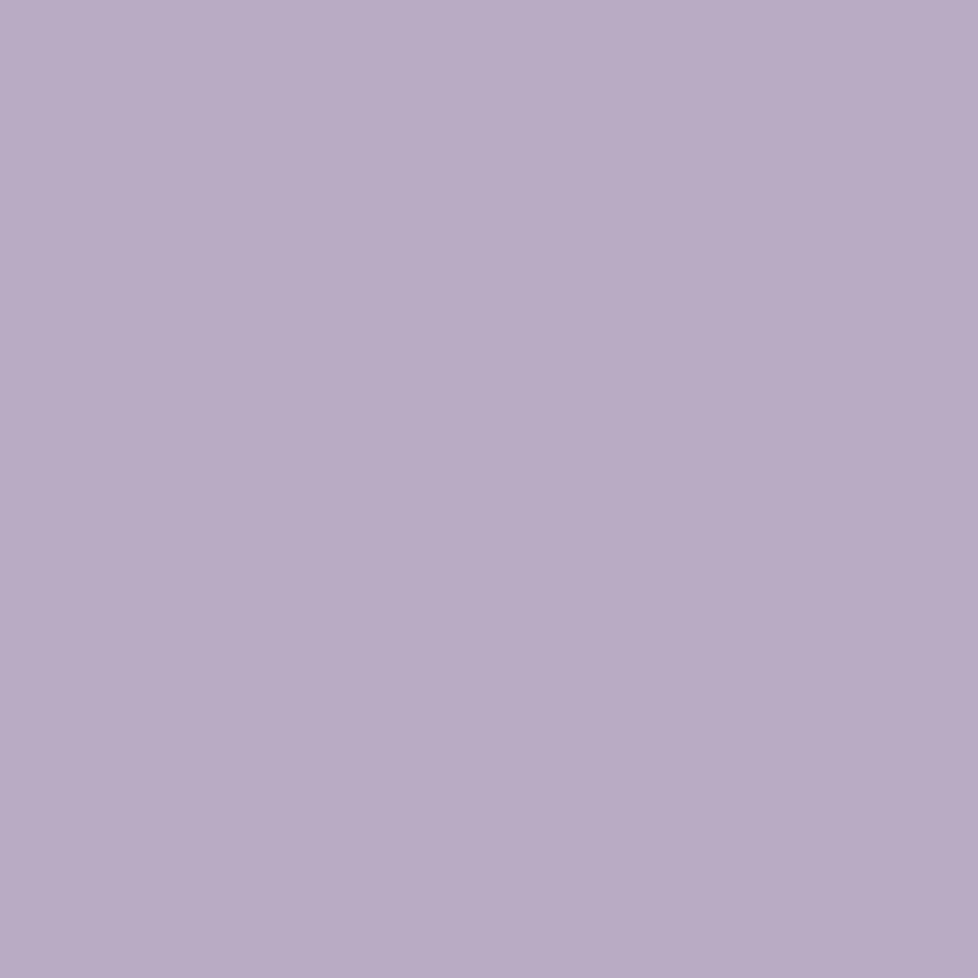 SOLID BASICS (couleur unie) : (10 couleurs disponibles)