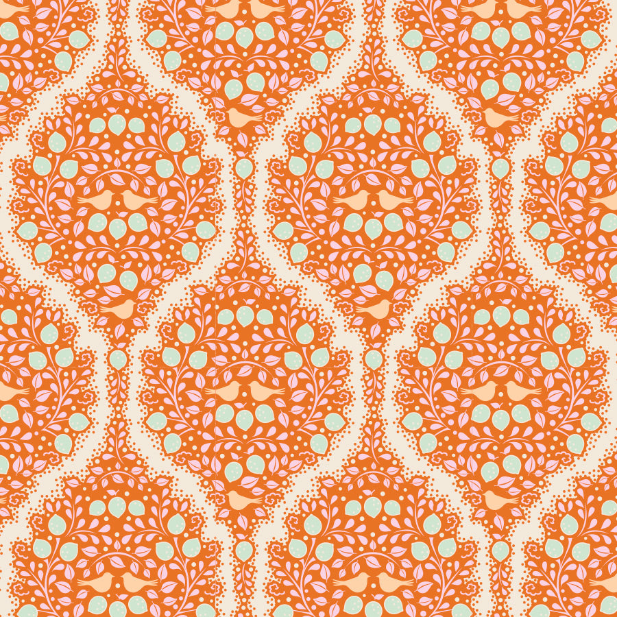 Lemontree : Bundle Rouge/Gingembre - 300002