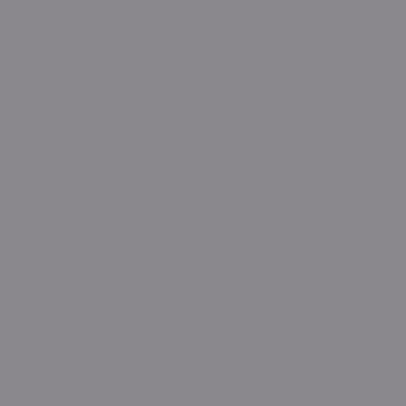 SOLID  BASICS (無地) : (14色展開)