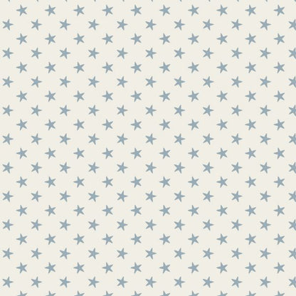 CLASSIC BASICS : Tiny Star (3色展開)