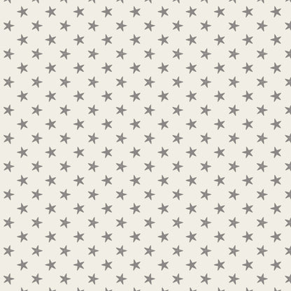 CLASSIC BASICS : Tiny Star (3色展開)