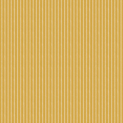 Creating Memories(春) : Stripe