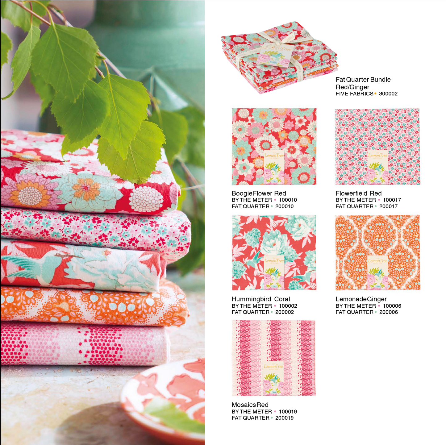 Lemontree : Lot Fat Eight - 300005